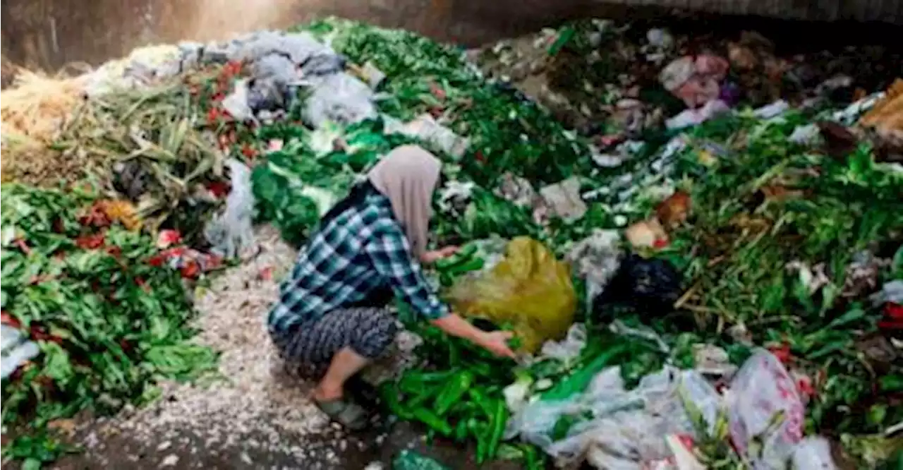 Experts: Food wastage expected to last till end-Syawal