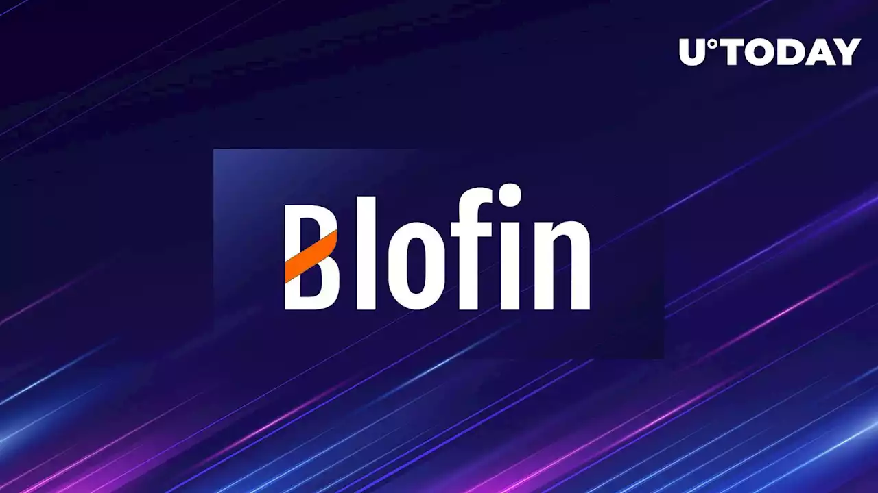 Blofin Futures Exchange Launches Copy Trading Module, Welcomes First Users