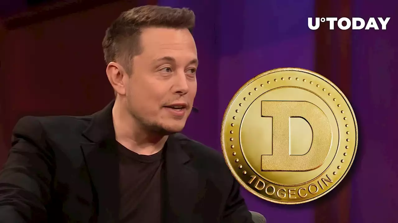 Dogecoin's Billy Marcus and Elon Musk Take Relationship to New Level, Here's How