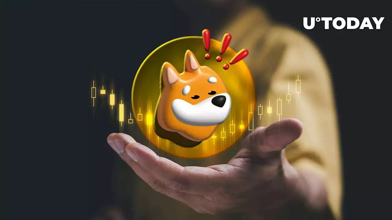 Shiba Inu Ecosystem on Rise: BONK Hits 6.2% Price Spike