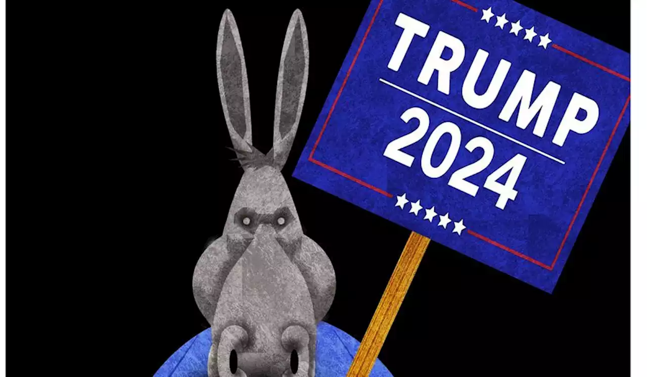 Democrats want to run against Trump in 2024