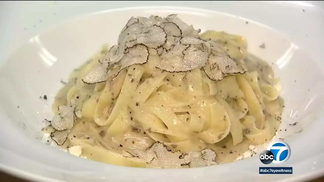 On The Menu: Italian eatery in Mid-City serves up dishes for every truffle lover