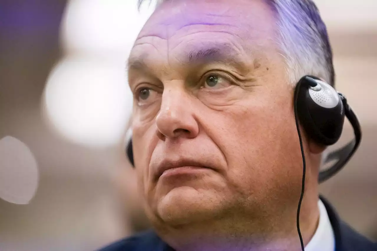 Ucraina, Orban: 'Stop finanziamenti e guerra finirà'