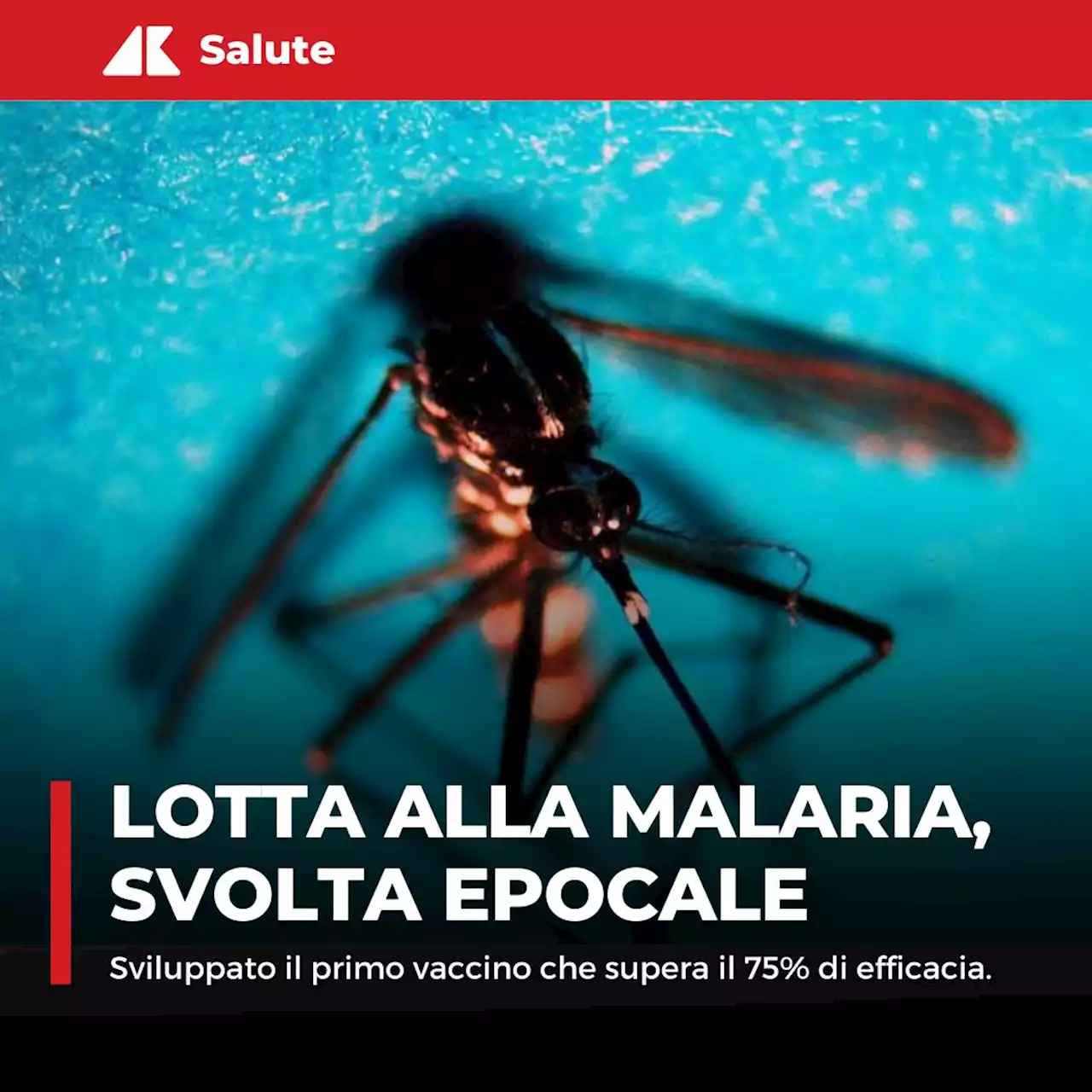 Malaria, approvato nuovo vaccino per i bambini: efficacia oltre 75%