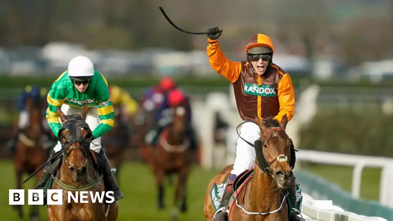 Psychiatrists warn gamblers ahead of Grand National