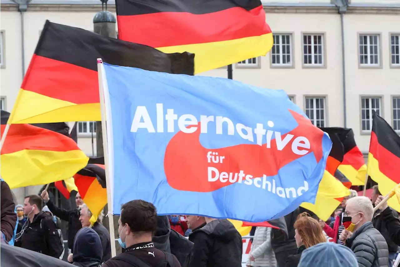 Hass und Beleidigungen: WhatsApp-Chats von Berliner AfD-Politiker geleakt