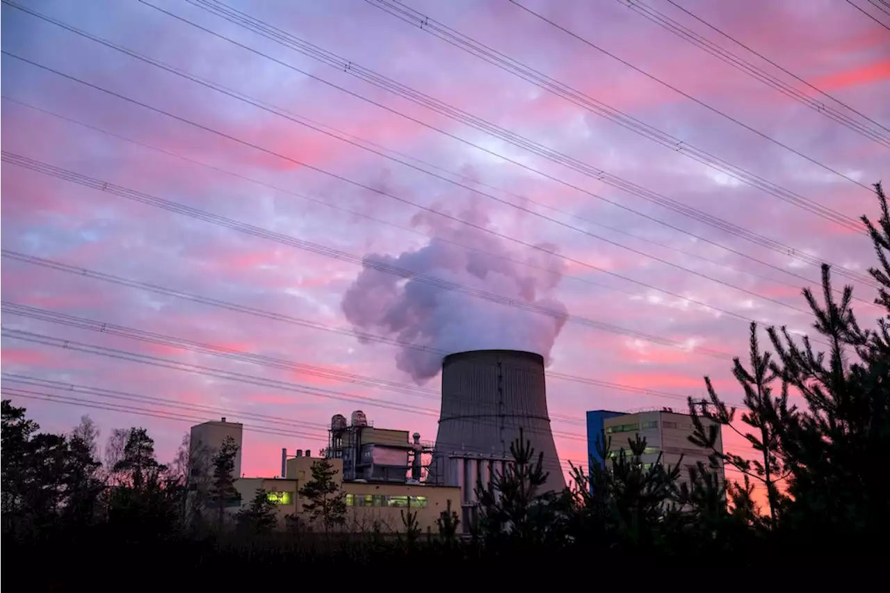 Ingenieur zu Wärmepumpen im Bestand: „Bärendienst für den Klimaschutz“