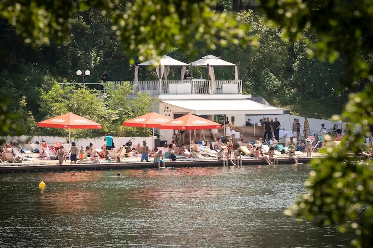 Sommersaison in Berlin: Neuer Betreiber für das Strandbad Halensee gesucht