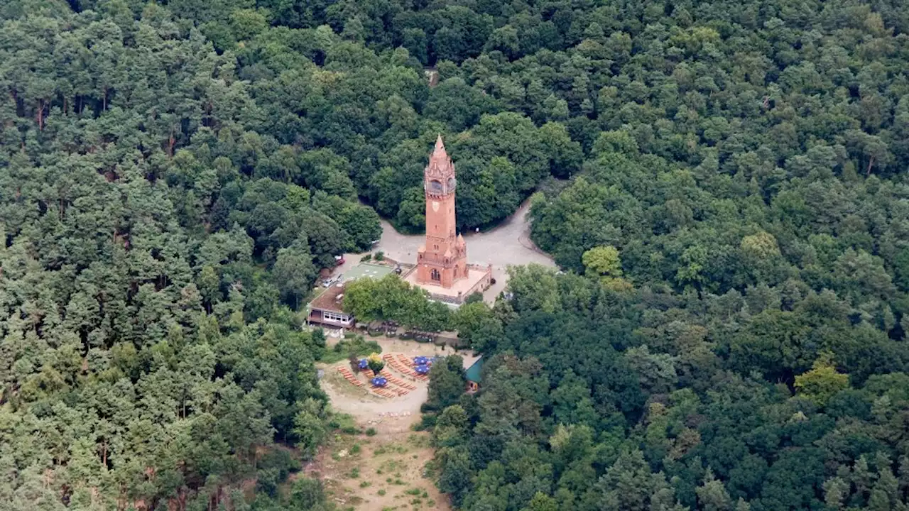 Der gewaltigste Deal Berlins: Wald vor Abholzung gerettet