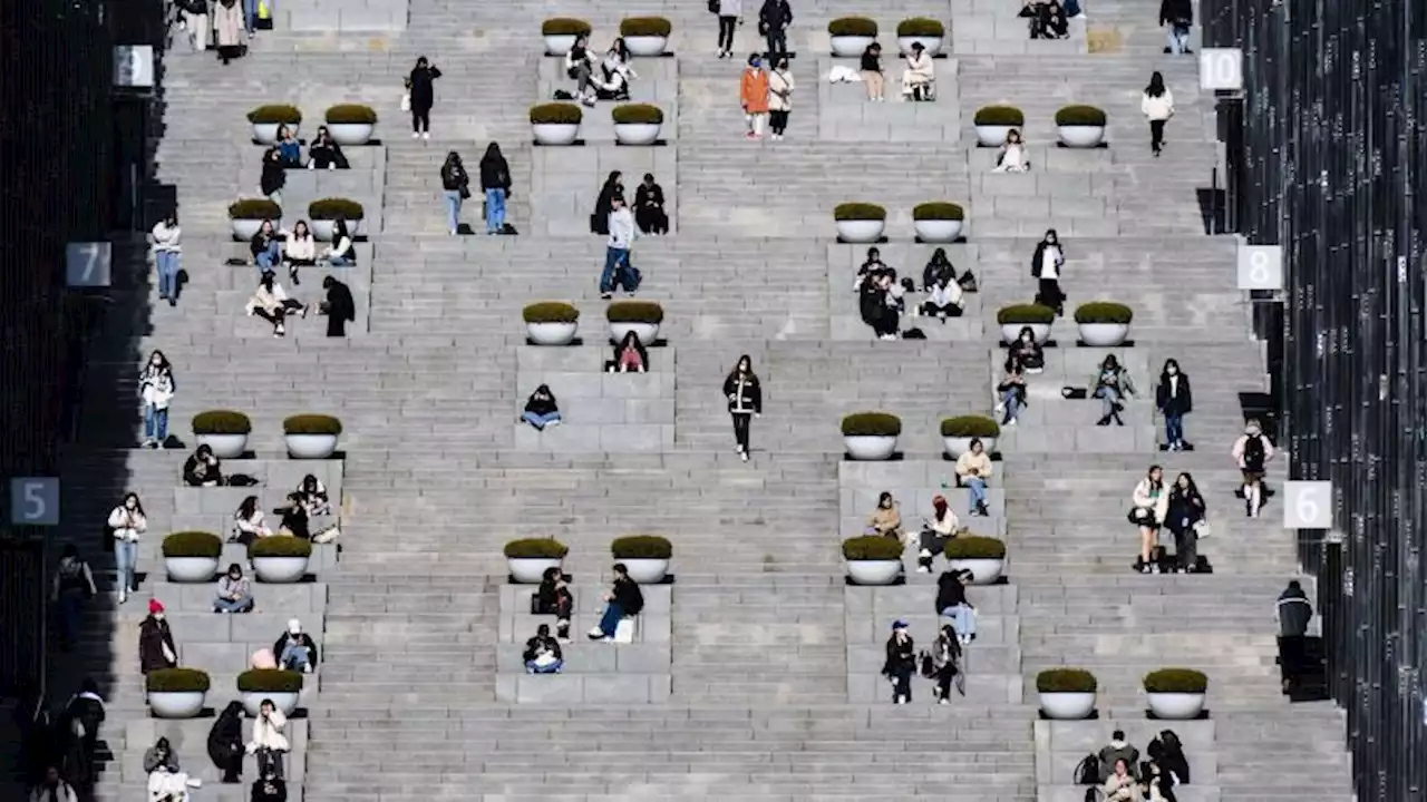 South Korea is paying 'lonely young people' $500 a month to re-enter society | CNN