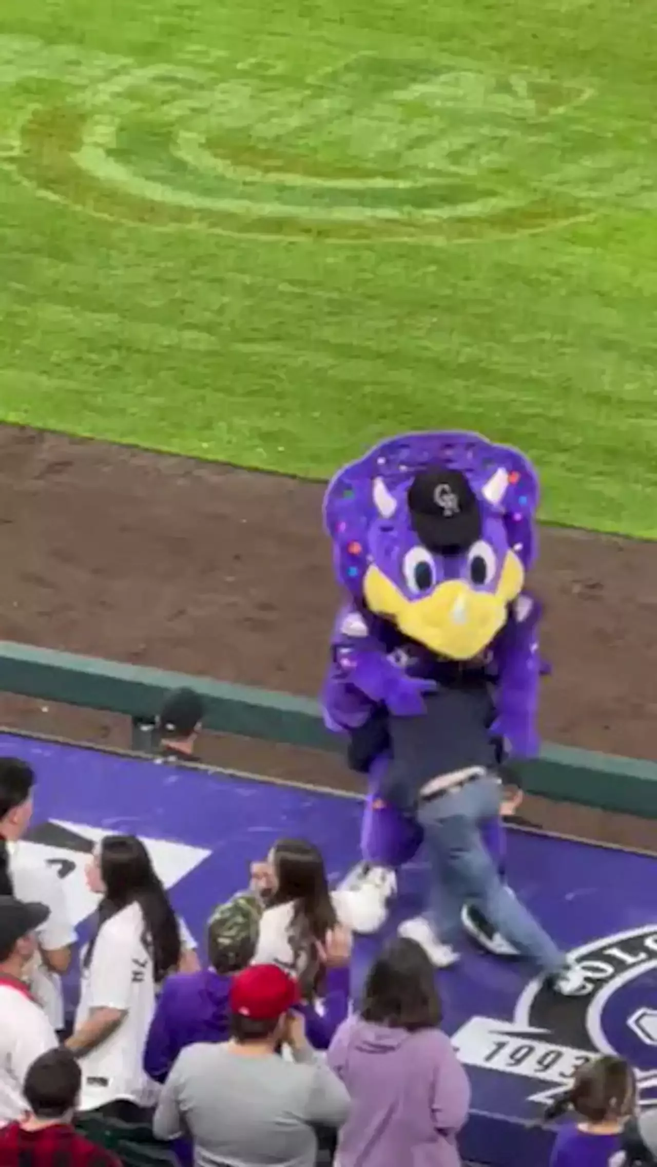 Fan who tackled Rockies mascot 'Dinger' during game turns himself into  Denver Police, gets citation 