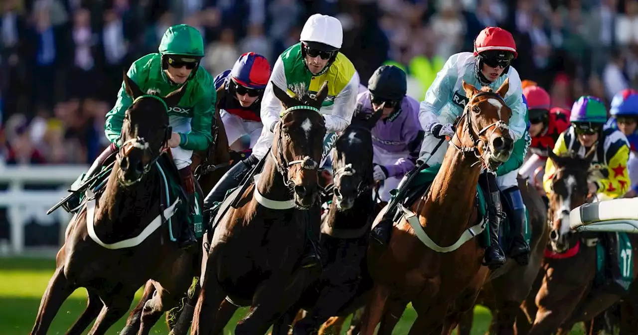 Finishing places each-way bets pay out on at Grand National 2023