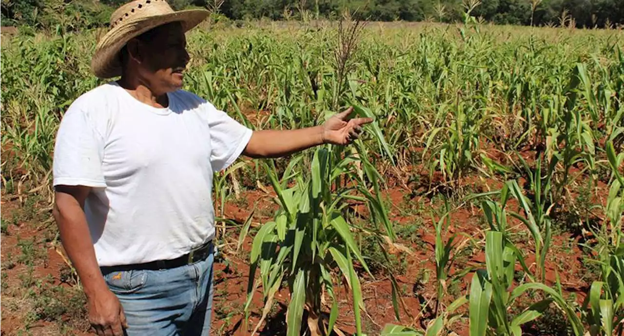 Decisión del gobierno de cerrar Financiera Rural, dejará incertidumbre en los productores: GCMA