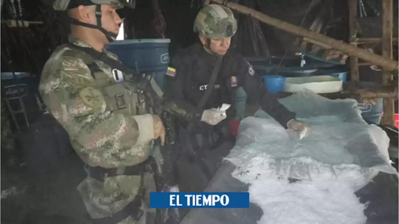 Así cayeron 10 toneladas de cocaína pura en tres mega laboratorios