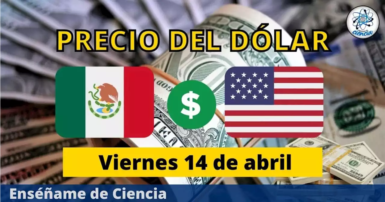 Precio del dólar hoy viernes 14 de abril, ¿cómo amaneció el tipo de cambio en México?