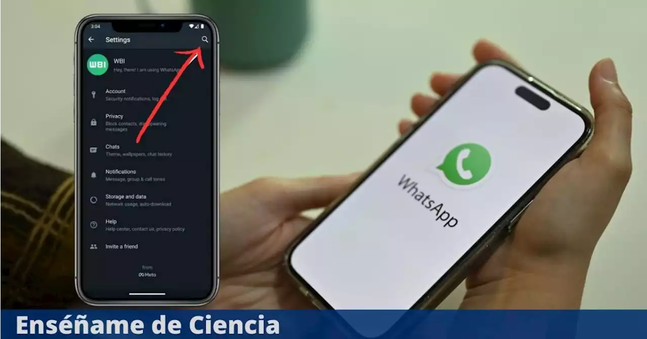 WhatsApp acaba de lanzar una nueva función de búsqueda en la sección de configuración