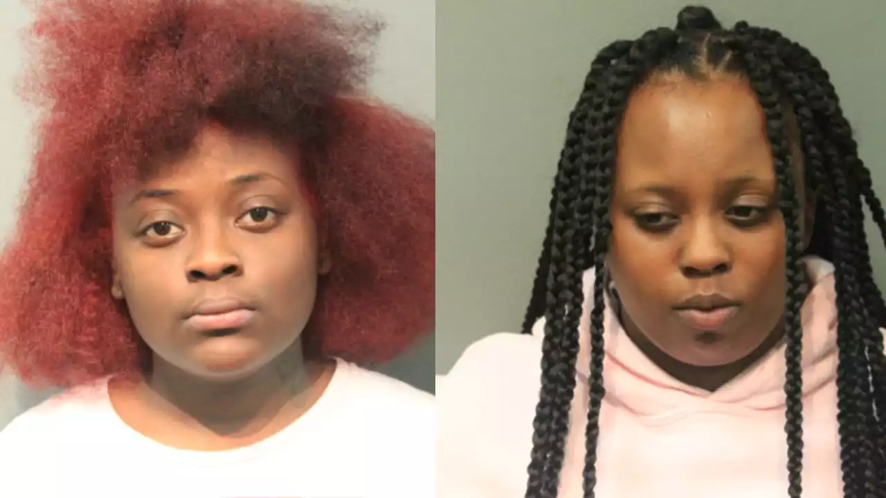 Chicago women charged in violent CTA robbery