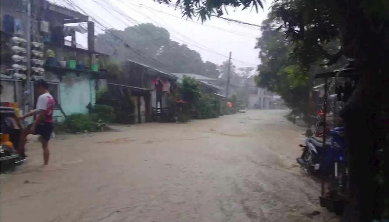 NDRRMC: 95,000 affected, P12.3 million agriculture damage in Bicol Region due to Amang