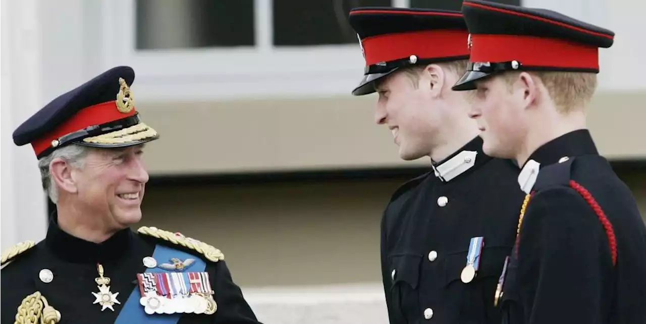 King Charles Mentions Feeling 'Immense Pride' for Prince Harry and William in New Speech