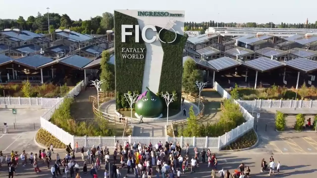 Corsi e percorsi di cibo e cultura a Fico, il più grande parco agro-alimentare del mondo (di F. Alliata Bronner)