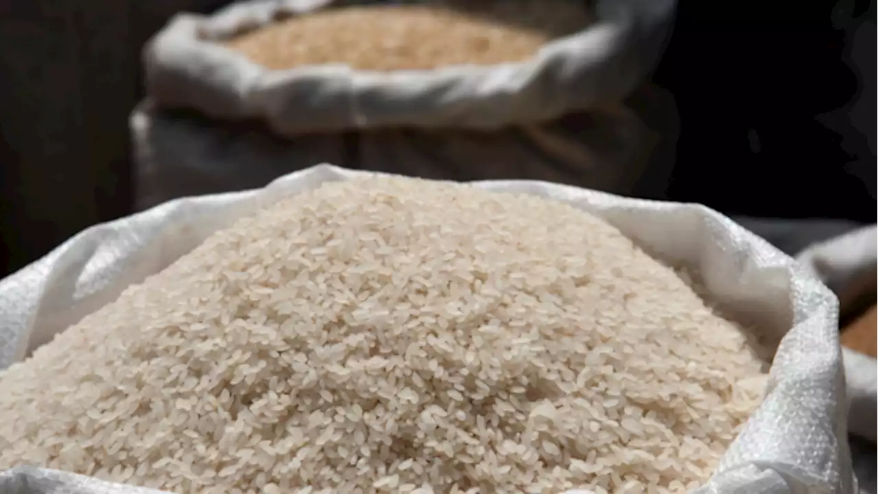 1.9M national gov’t workers to get 25-kg rice subsidy