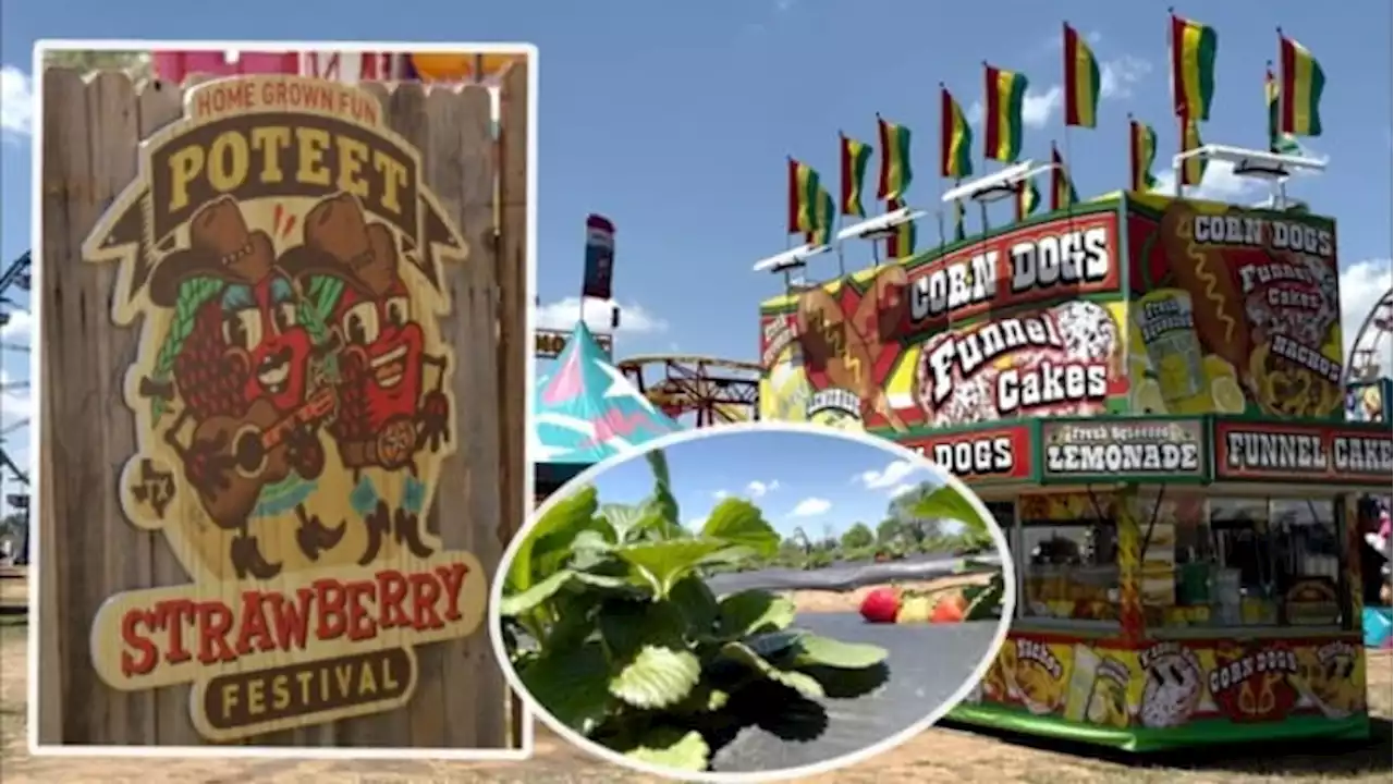 A berry good time.🍓The history behind the Poteet Strawberry Festival