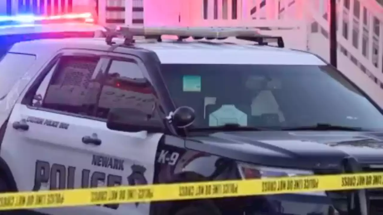 Carjacking suspect shot and killed by Newark and Fremont police officers