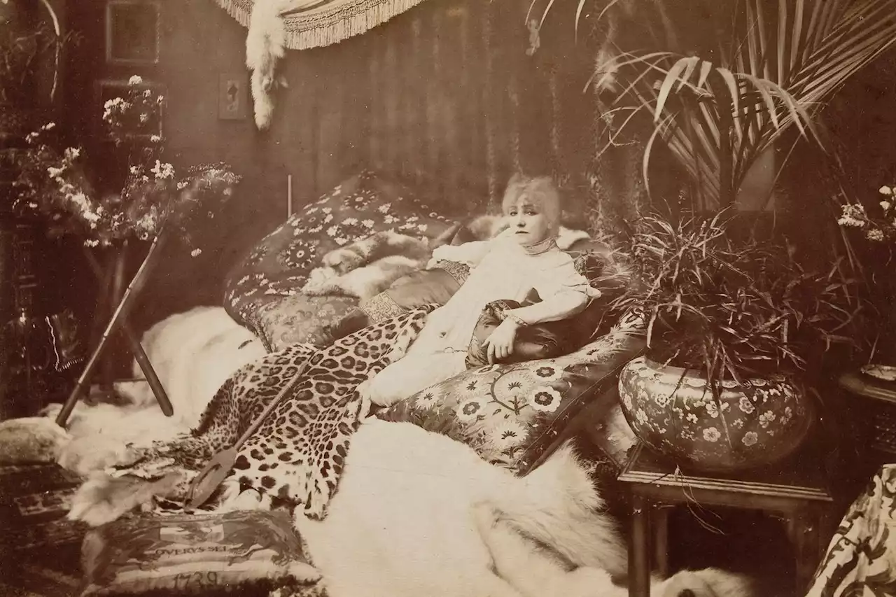 Exposition : la belle palette de Sarah Bernhardt au Petit Palais