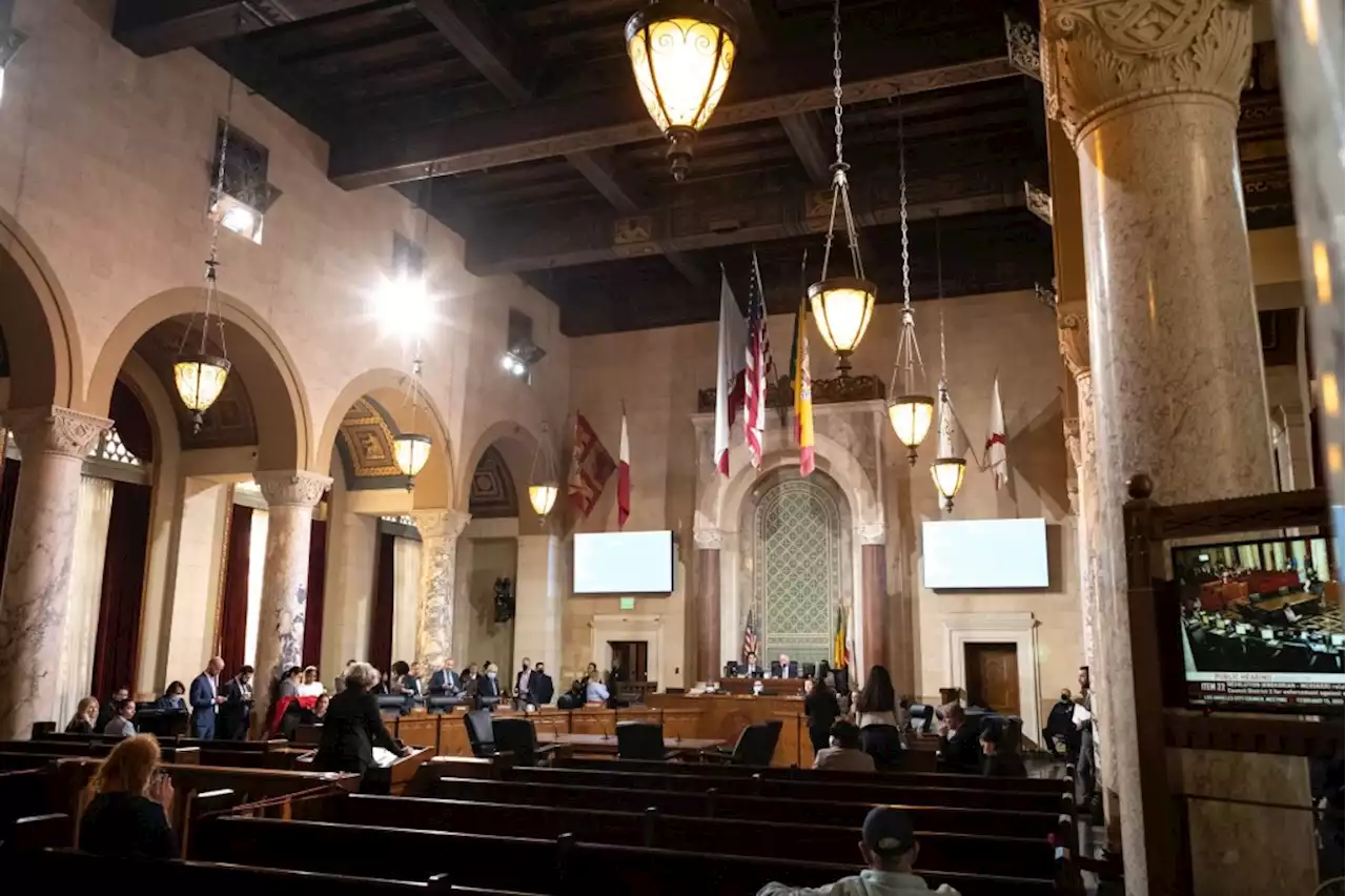 LA Council committee seeks direction for city’s independent redistricting commission