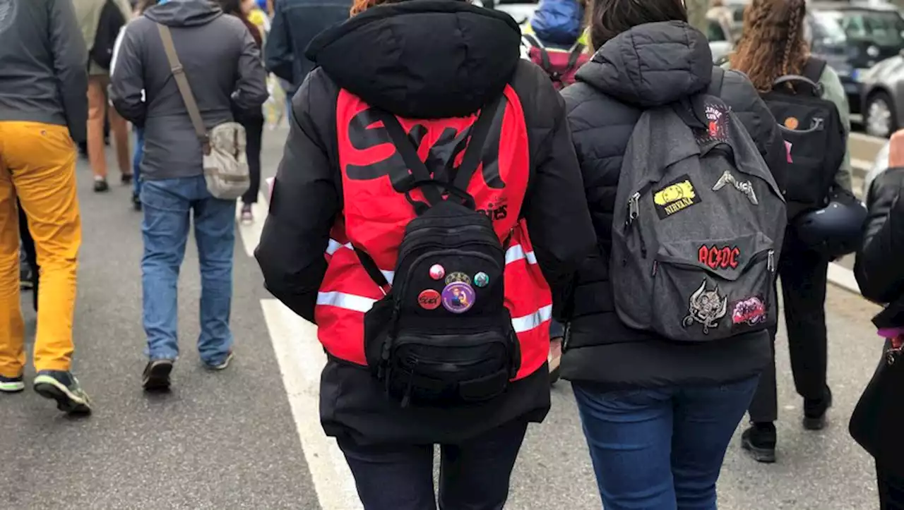 Réforme des retraites : à Toulouse, Frédérique n'a manqué aucune manifestation