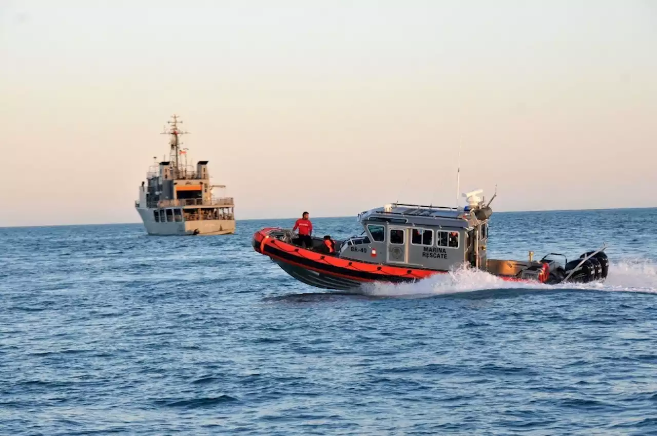 Aprueba CITES plan de México sobre totoaba y protección de vaquita marina