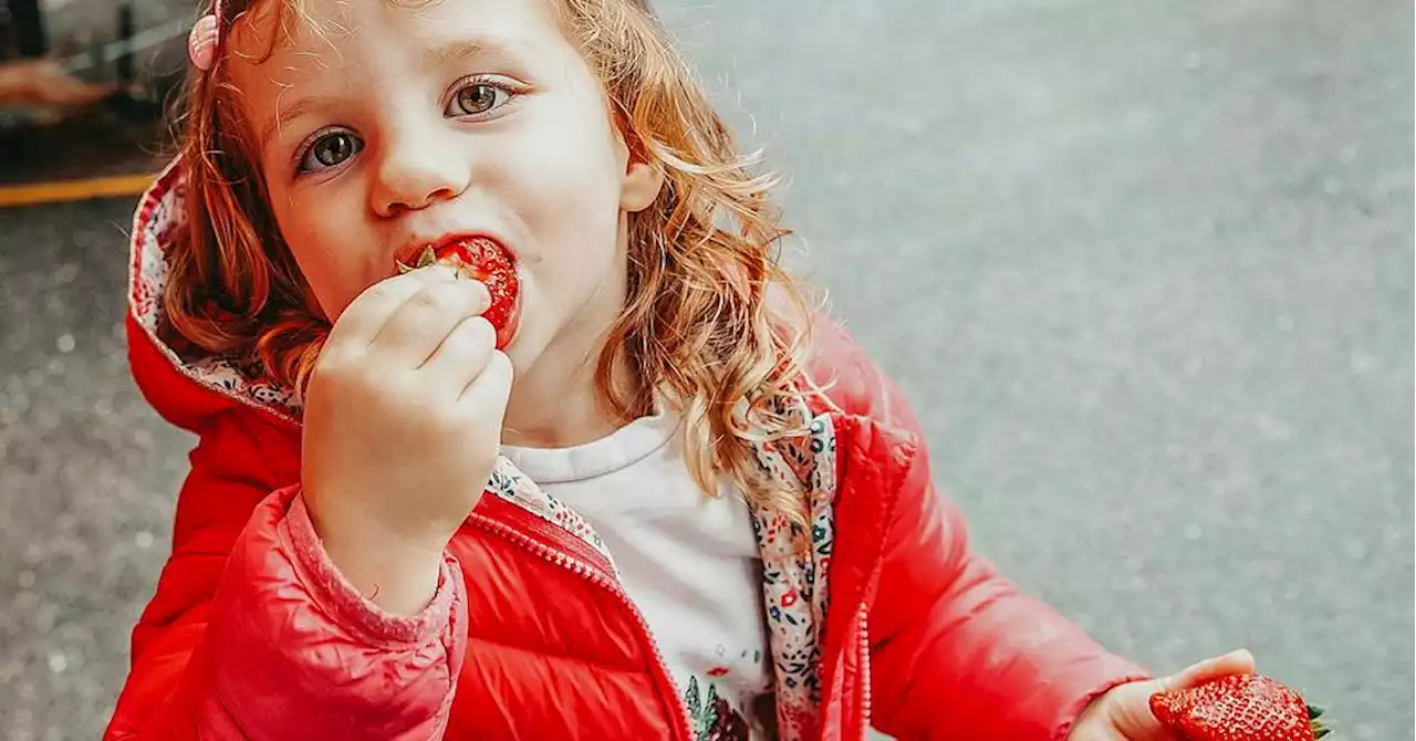 Vaucluse : la Fête de la fraise est de retour à Carpentras