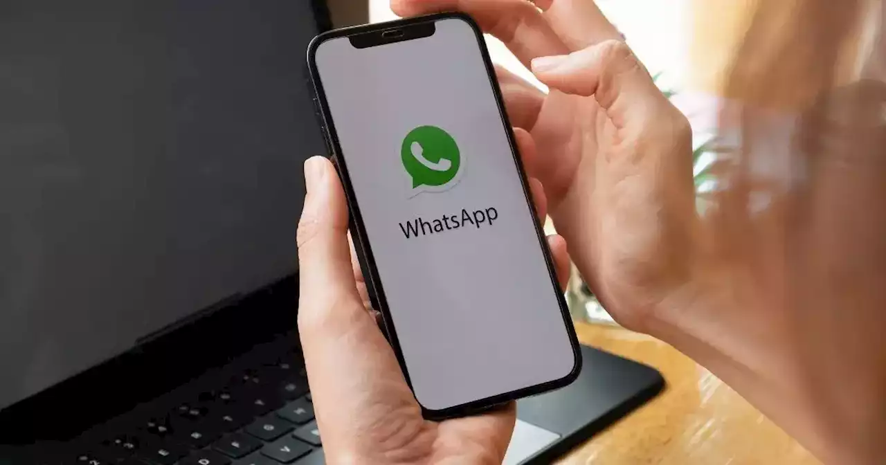 ¿Adiós a los audios de WhatsApp? Un grupo de argentinos creó un bot que transcribe los mensajes de voz | Viral | La Voz del Interior