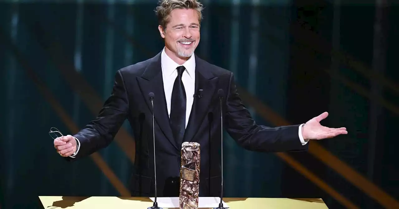 «Brad Pitt, un courant d'électricité sexuelle...» Faut-il lire la biographie de la star par Frédéric Mitterrand ?