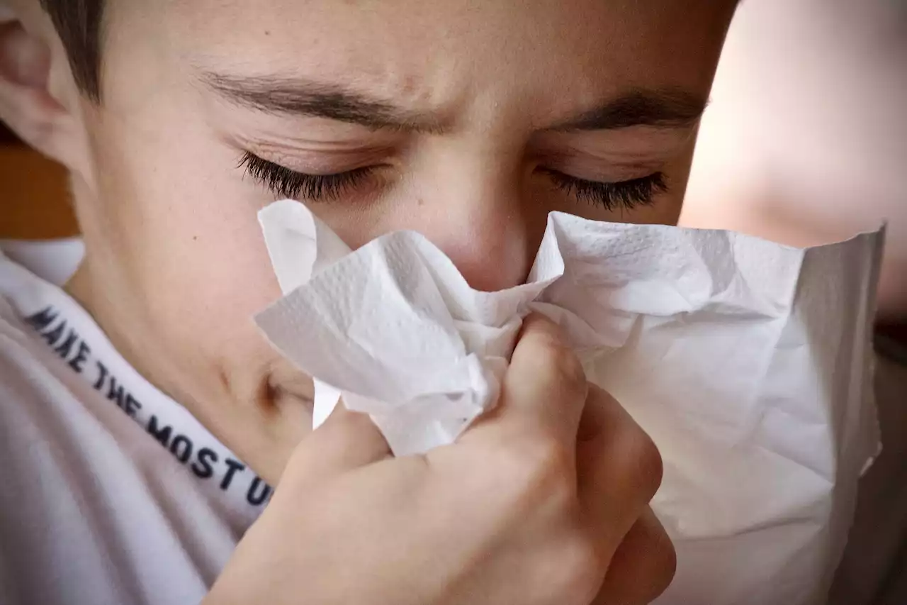 Sniff test: Japan declares war on hayfever woes