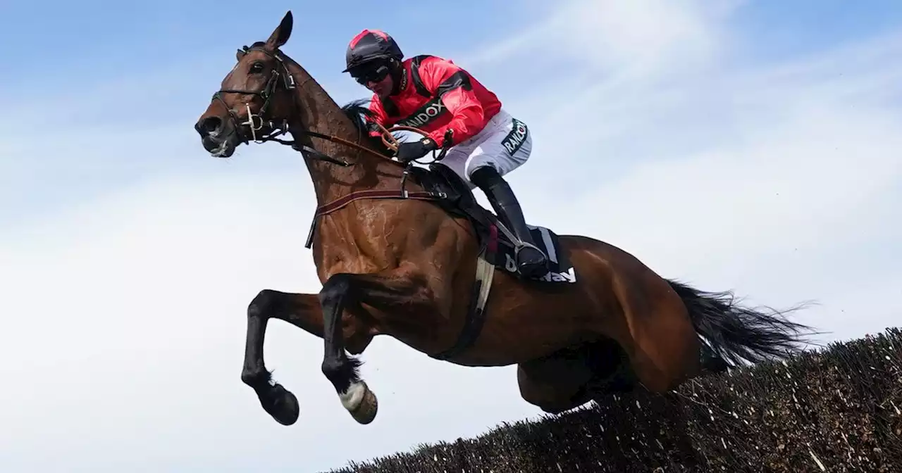 Grand National 2023 runners and odds - full list of confirmed horses racing