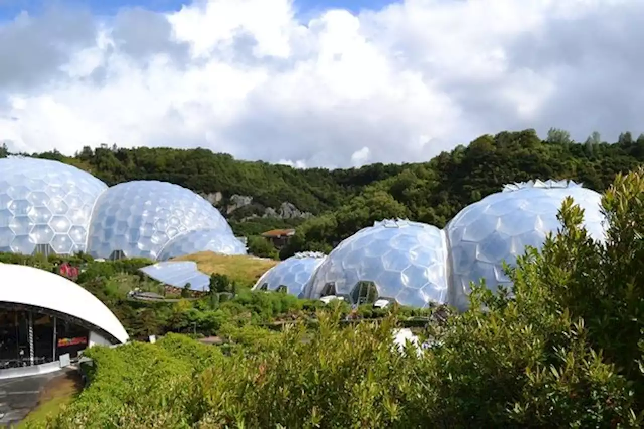 Eden Project is offering free tickets to under 25s over Coronation weekend