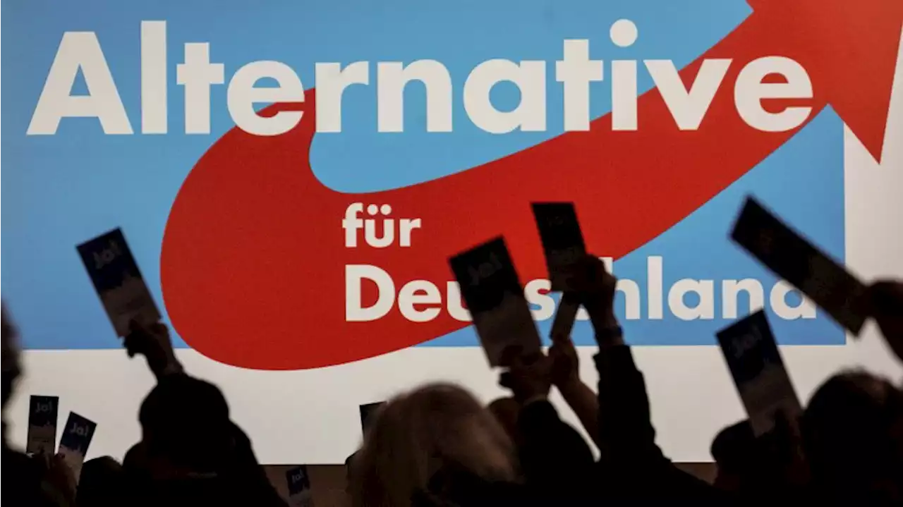 Berlin: Geleakte AfD-Chats: 'Staat ein minderwertiger Witz'