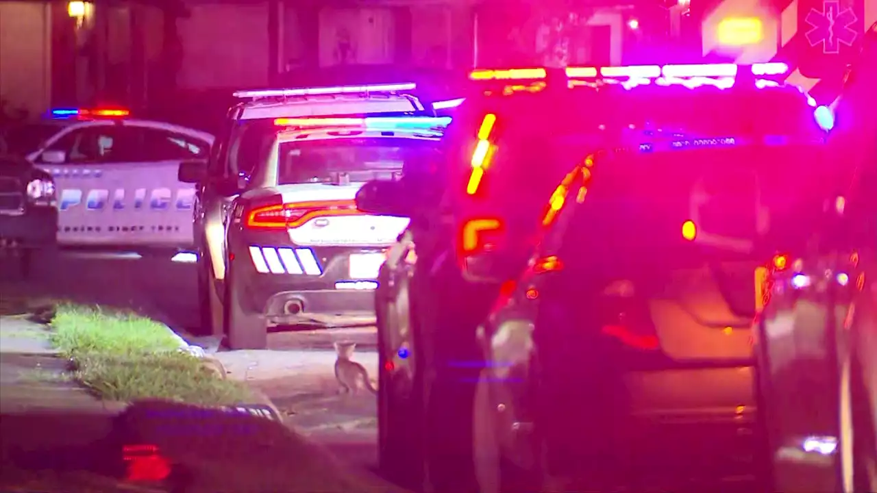 Two Killed in Apparent Domestic Murder-Suicide in Dallas