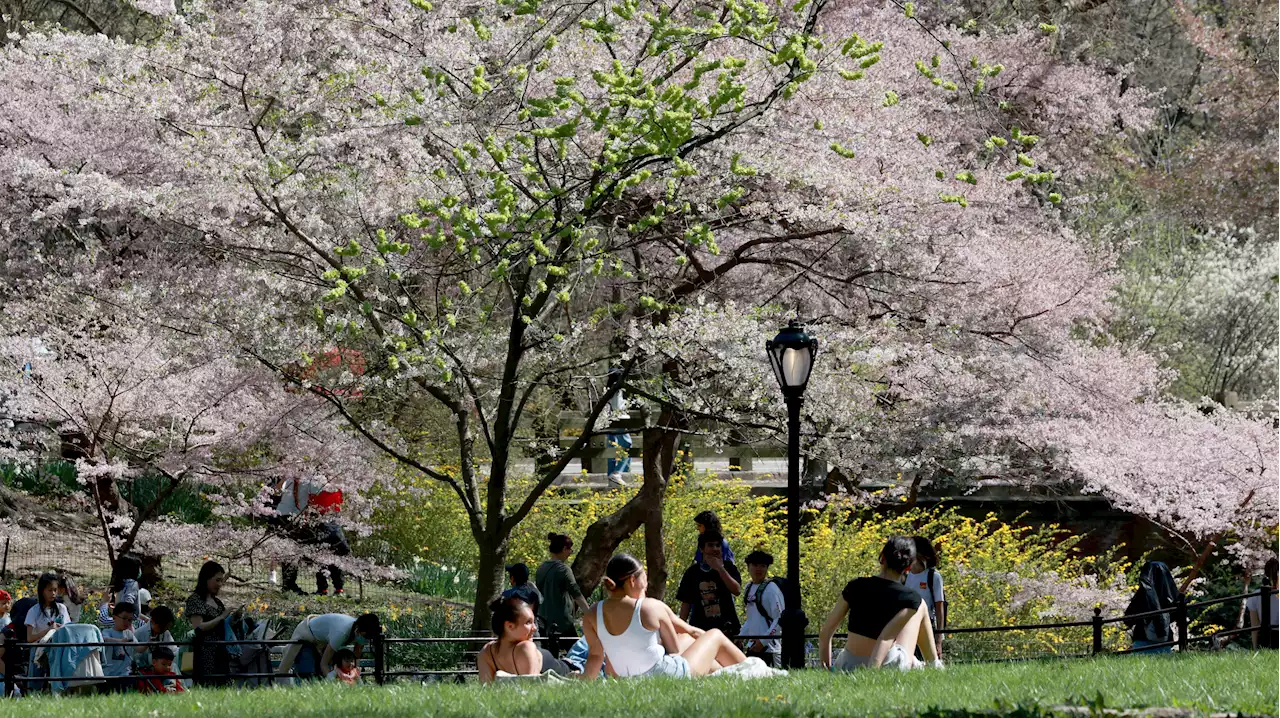 Air Quality Alert Hits NYC, Much of NJ as Temps Soar Near 90 Again: What to Know