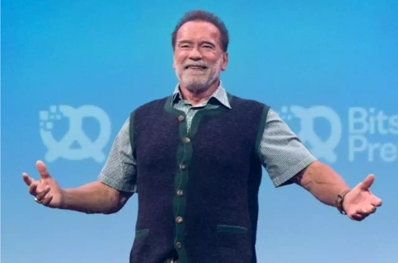 Arnold Schwarzenegger terminates annoying pothole – but the local council is far from impressed | You