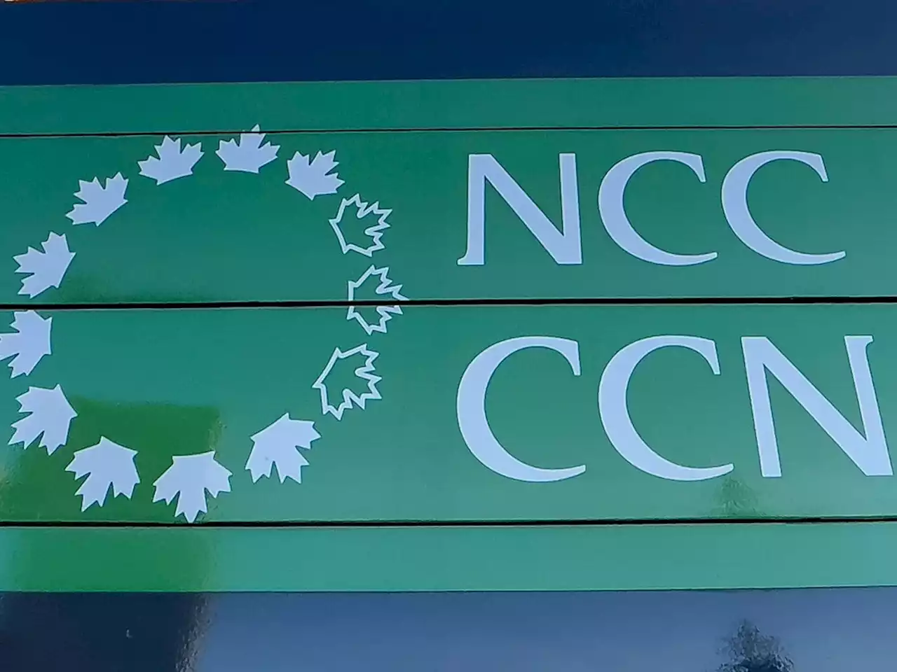 'DENIAL OF SERVICE': Cyber attack knocks out service on NCC's website