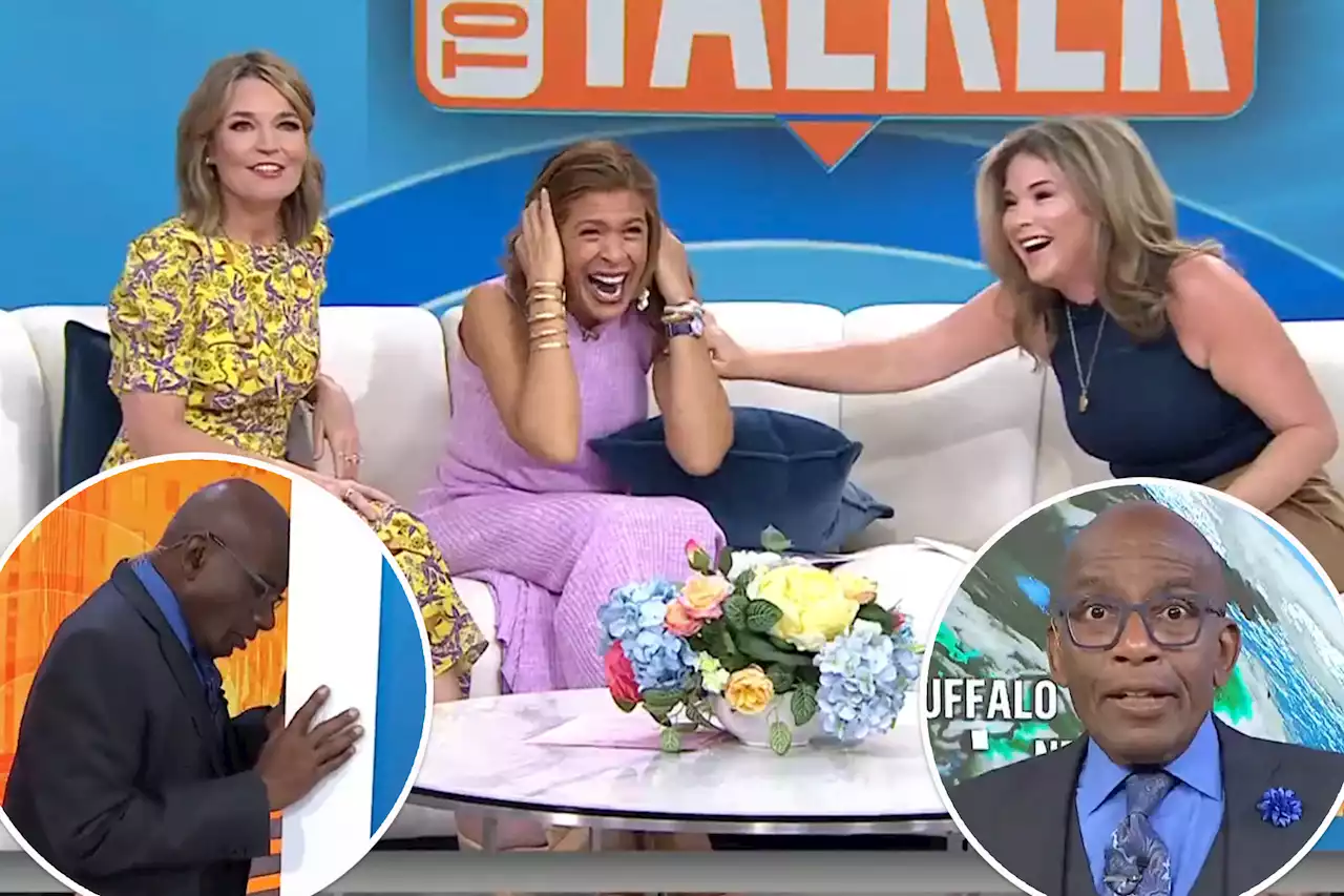 Al Roker bangs his head on the wall over Savannah, Hoda, Jenna decluttering segment