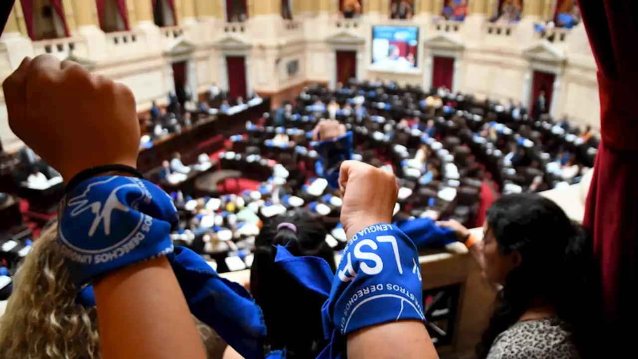 El Senado aprobó por unanimidad que se reconozca a la Lengua de Señas Argentina como idioma viso gestual en todo el país | Con 60 votos afirmativos