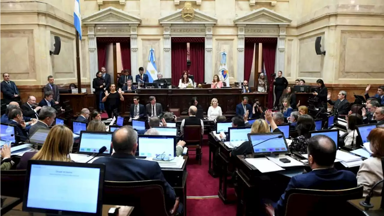 El Senado convirtió en ley el proyecto de Alcohol Cero al volante