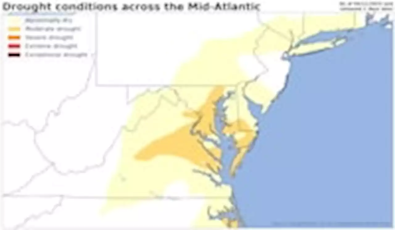 Dry start to the year delivers D.C. drought for first time since 2019