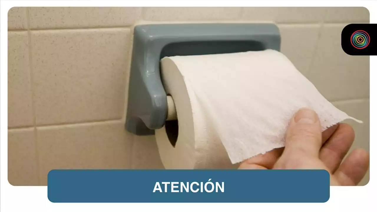 Papel higiénico tiene las horas contadas (por peligrosa razón) y este sería su reemplazo - Pulzo