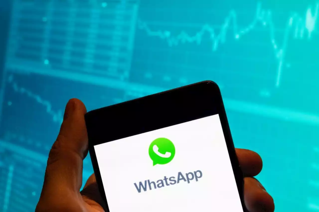 Estados de WhatsApp estarán conectados a popular red social; esta es la actualización - Pulzo