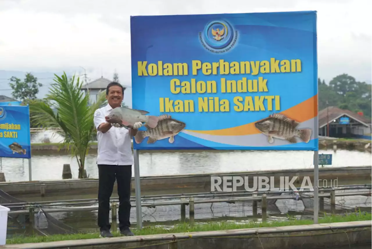 Di Sukabumi, Menteri KKP Dorong Ikan Nila Jadi Proyek Unggulan |Republika Online