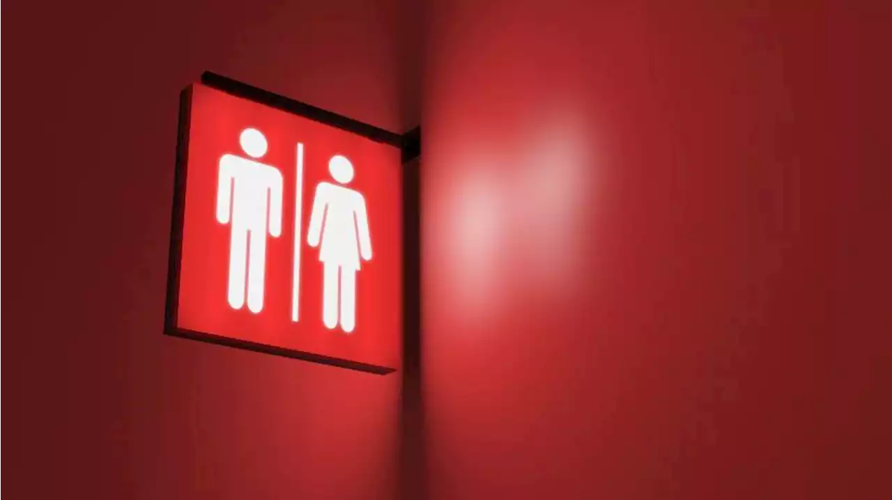 |em|Tips|/em| ke Toilet Umum Saat Mudik, Lakukan Ini Agar Terhindar dari Penyakit |Republika Online